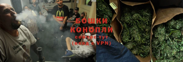 стафф Приозерск